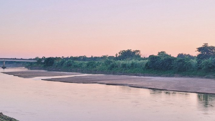 সংগ্রহীত