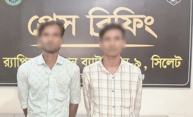 সংগ্রহীত