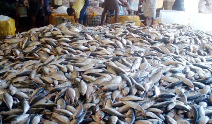 সংগ্রহীত